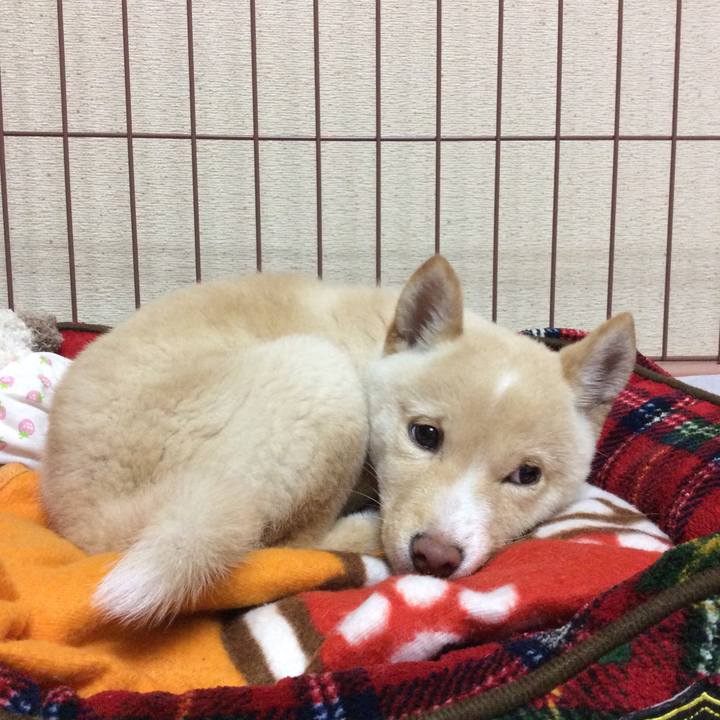 7bd5bfc9 916e 4421 9793 bc3464cd62ba