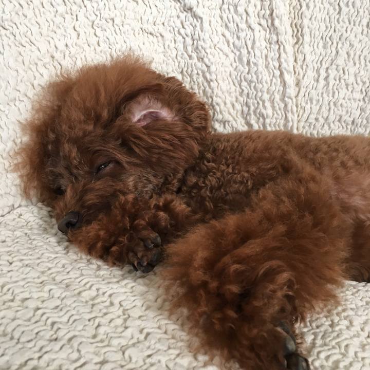 7bd66372 9451 40c6 b210 c6fdf4a0e005