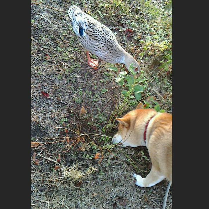 7bd67e6b 3366 4d36 93b2 f73c6caf98b3