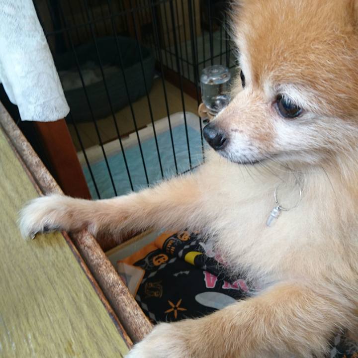 7bd7a525 844a 415c 8340 49541b9954f7