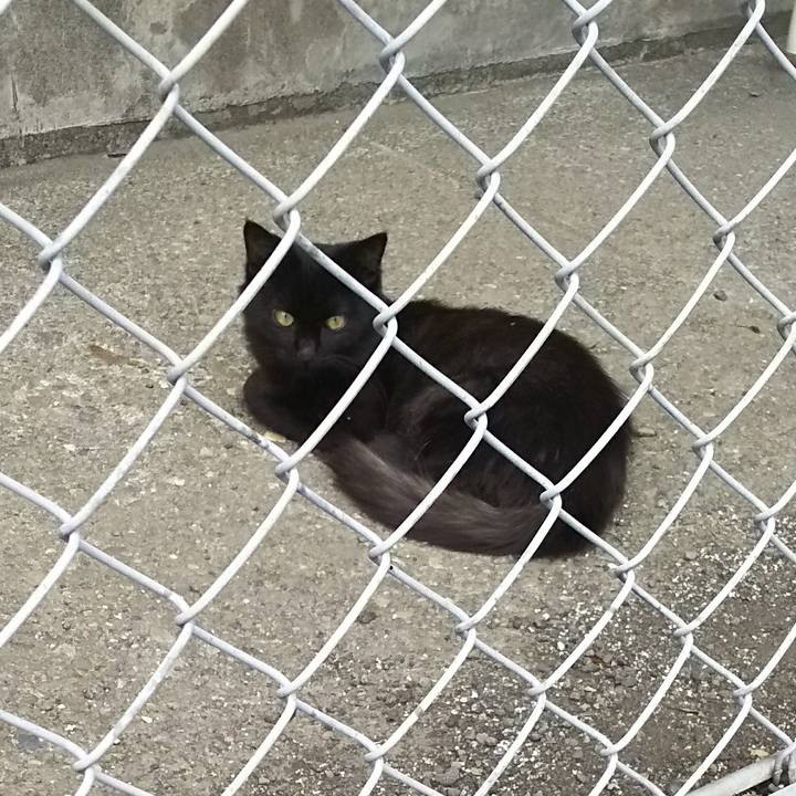 7bd7fb65 527b 4a09 9038 60e9756e8b73