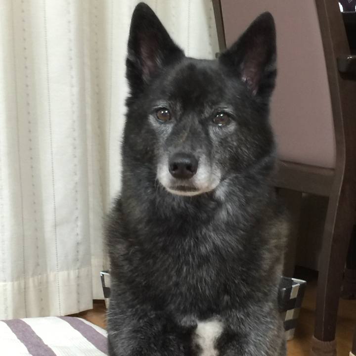 7bd83889 a9e0 4410 bbe7 5acebf8d12db