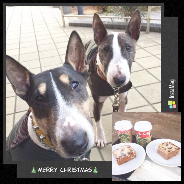 7bd86cfb 2e1e 49ea 86c9 32706f9230be