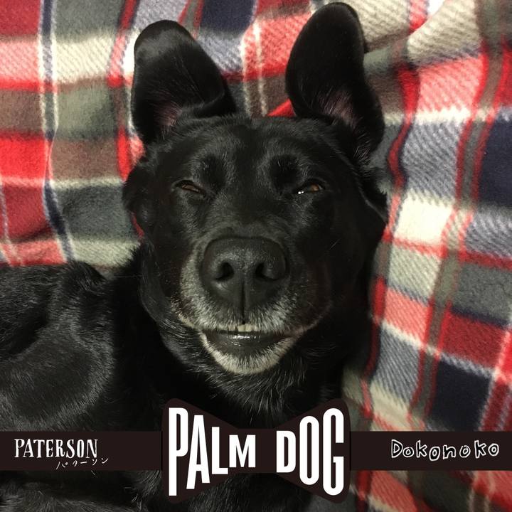 7bd88fdf f165 4c2a af20 831c952253f5