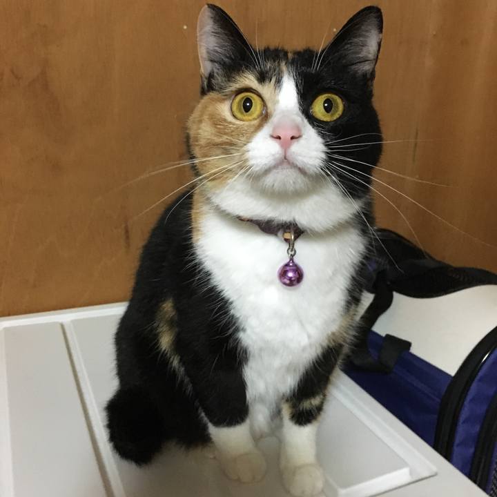 7bd89ad0 597c 4f8f abf7 0c288423f1e2