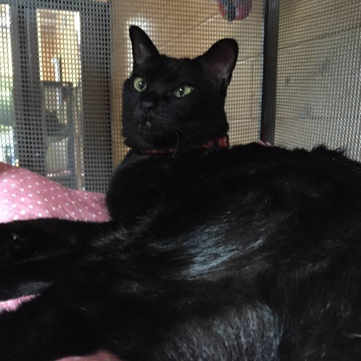 7bd9169b 0b4b 42ee 9851 0df62cf9f620