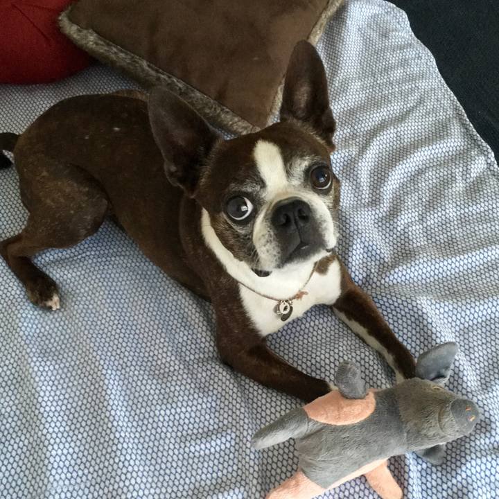 7bd93a80 7335 40c1 a705 240f30cfd803