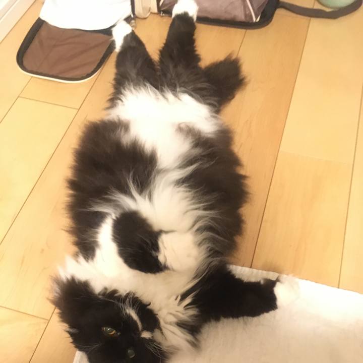 7bd9b520 82ab 450a b95e b0cdd9799ec8