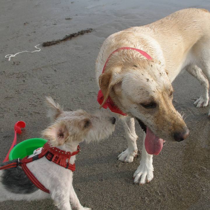 7bd9c358 92f9 4014 b481 8bd0bd9552d9