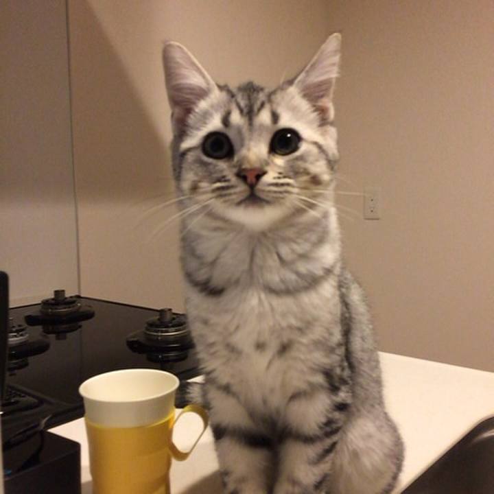 7bd9d2b6 5130 49e5 8967 53a8a2e401dc