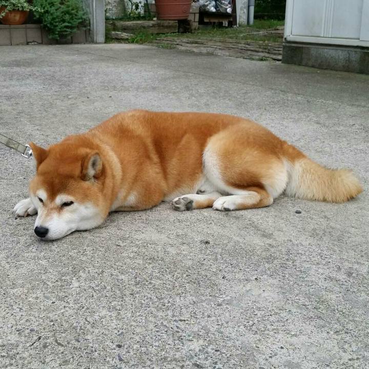 7bd9e444 ec80 4470 89f3 e94f58621558