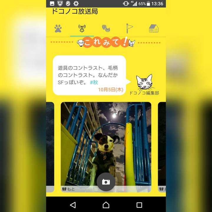 7bda6862 a2dc 4b80 9651 e31be9dad192