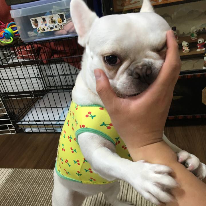 7bda7483 8742 4aa9 aba3 10a4910549dd