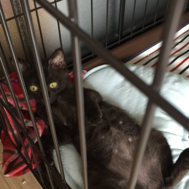 7bda7d72 b295 4967 8d1c 57a2f2174806