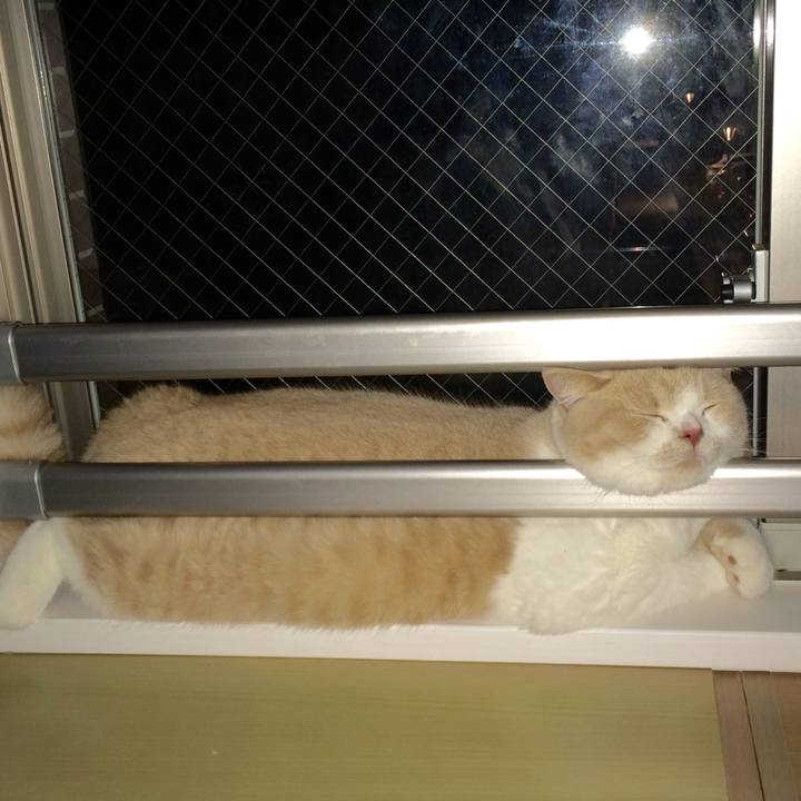 7bda8b1a 8439 4be7 874a ec4e62880d36