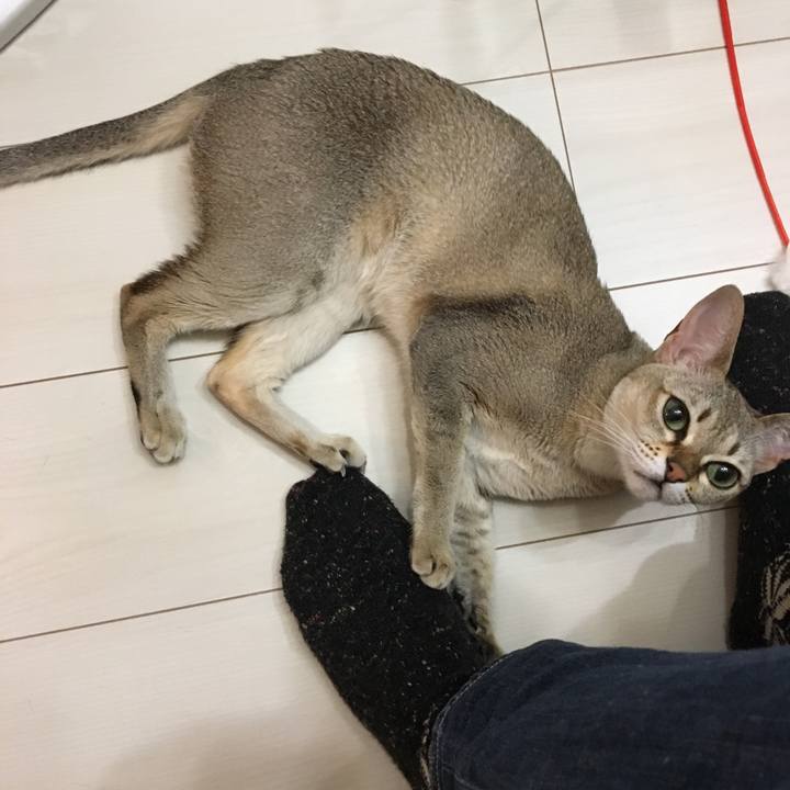 7bdae438 a3d9 4cfd b835 fa7458d0568f