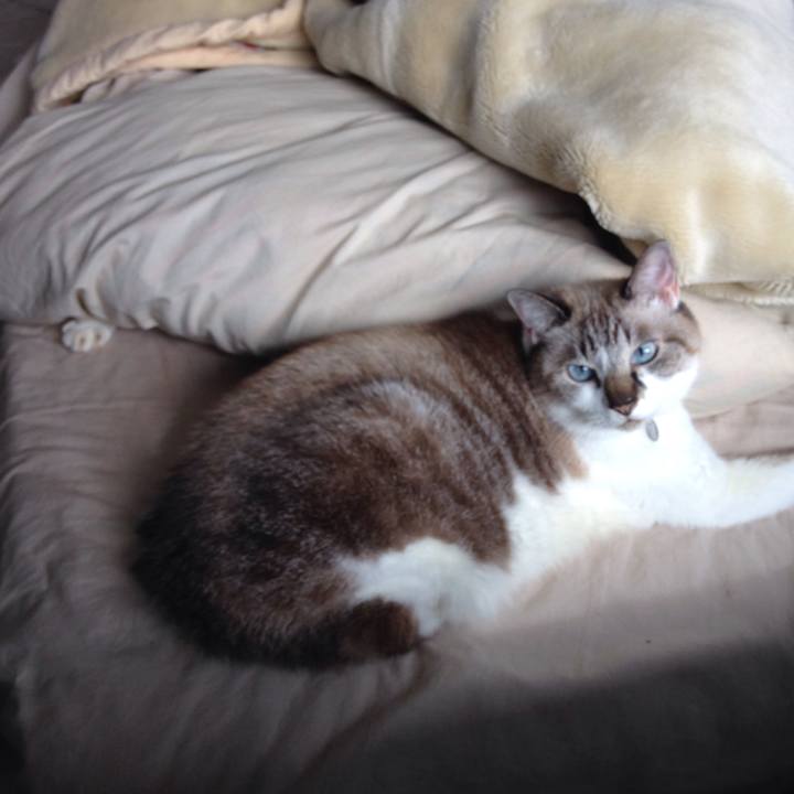 7bdb8e65 9fff 495b a14f 0cc7b345d1f2