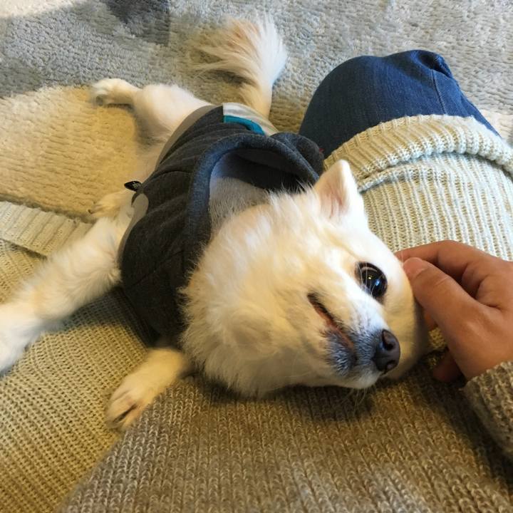 7bdb908f 5446 4cfe 87d7 cb424dbc2242