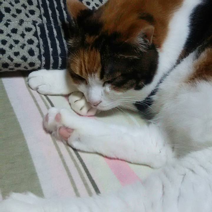 7bdb9ba9 503a 42a9 932a fc7806a5fd0b