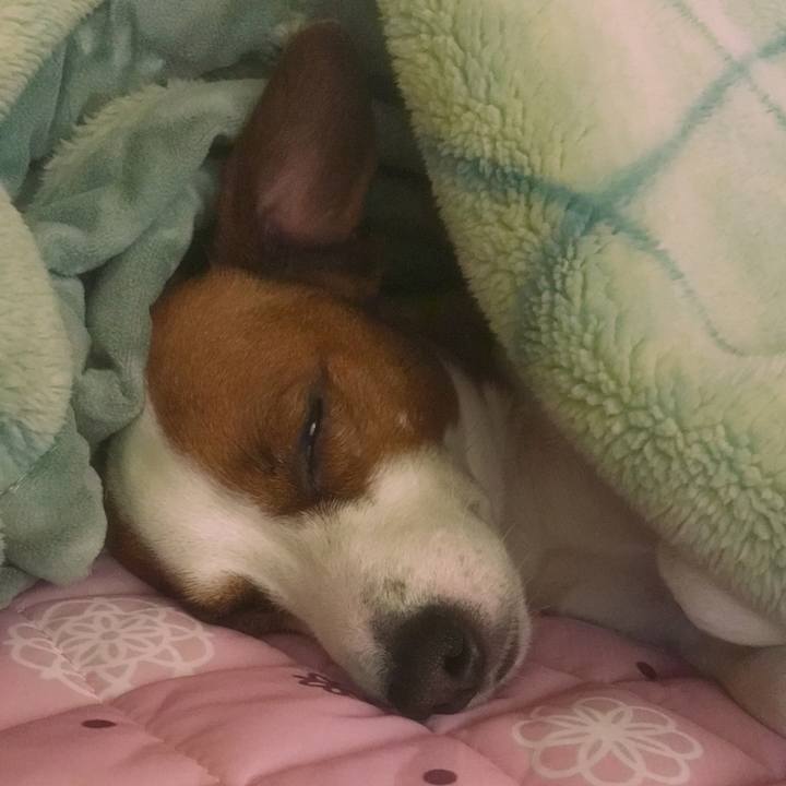 7bdbceaf 42d4 4197 8409 6b35a12b76ee