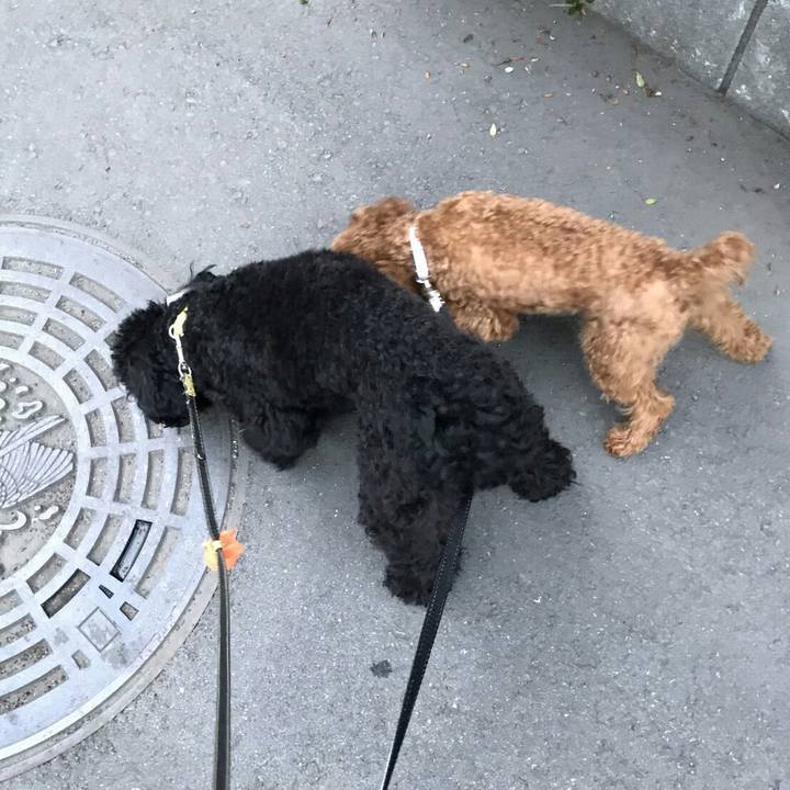 7bdbeb94 ec36 4ad0 a724 3e700c355d82