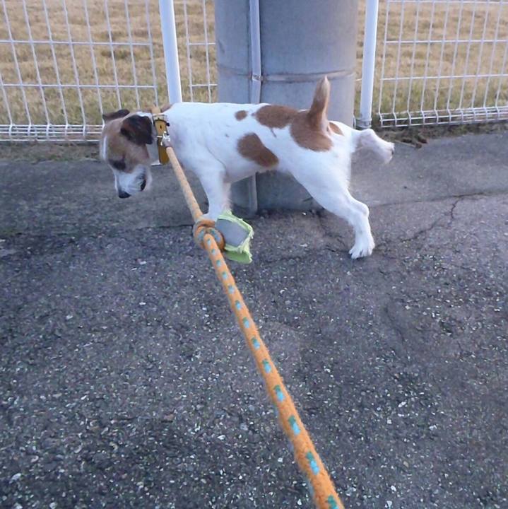 7bdc2751 bf67 4083 9335 99a723428d0a