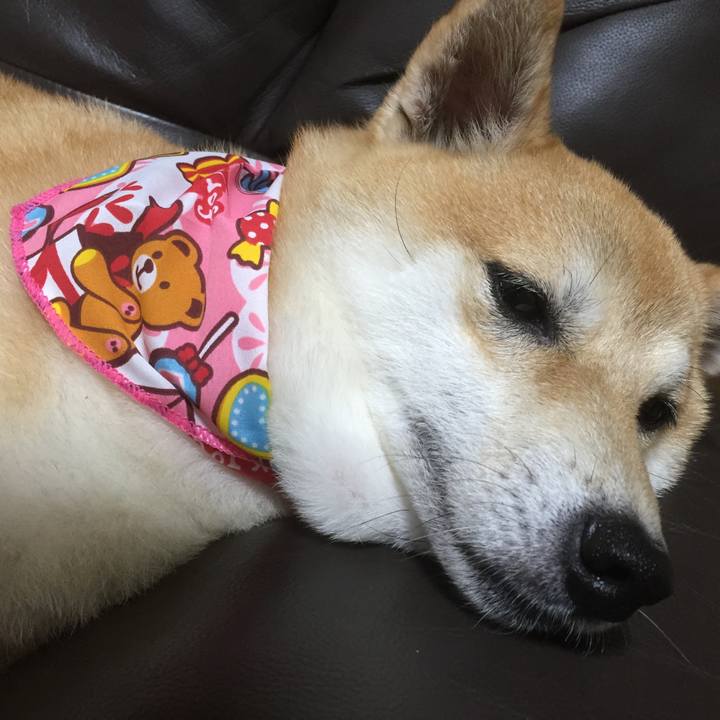 7bdcfcc9 6b69 4cb8 90a2 9ff5424923c1