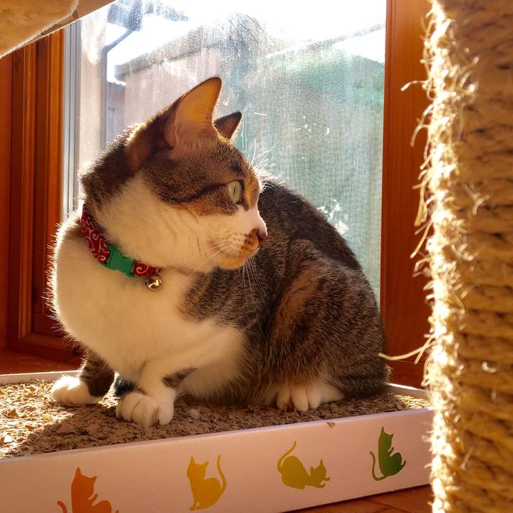 7bdd2453 c814 4c2c 8b64 18c49cb612ec