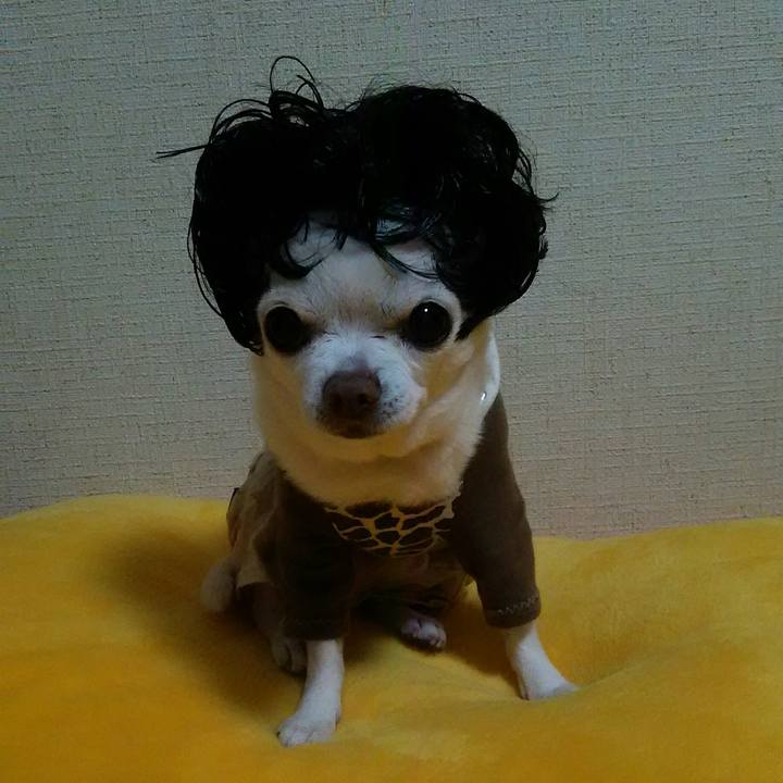 7bde2159 c7b1 4f88 9c59 6c8b49b7dce9