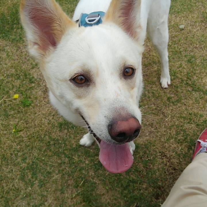 7bde6e31 e535 4008 a392 0ad290acfba5