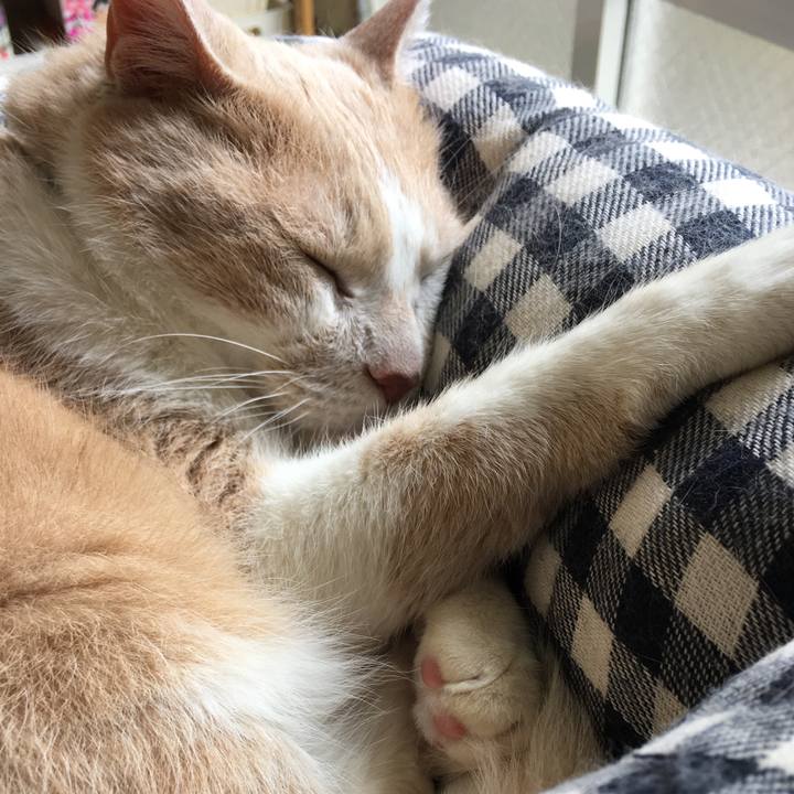 7bdee595 1902 47d5 8b2c 27e7ebf44467