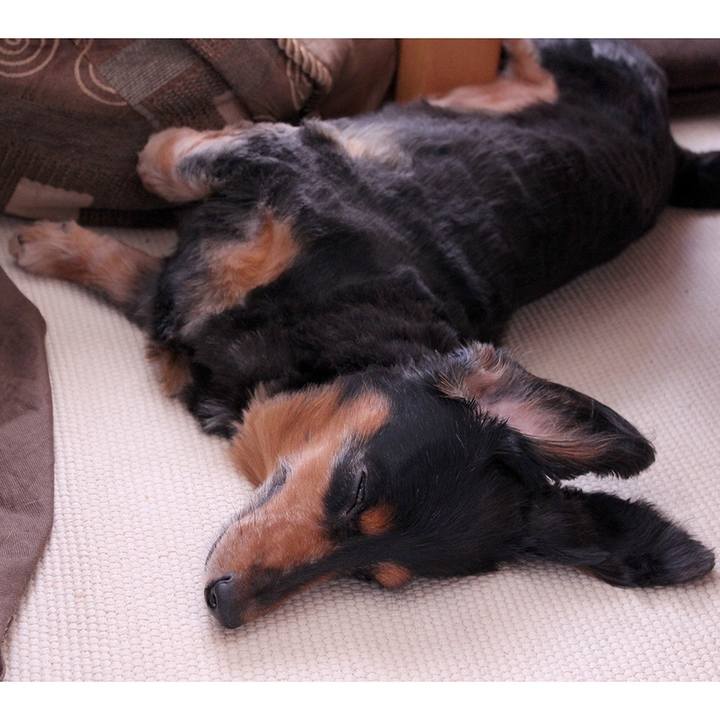 7bdeed68 a335 47f8 a227 1a1103028142