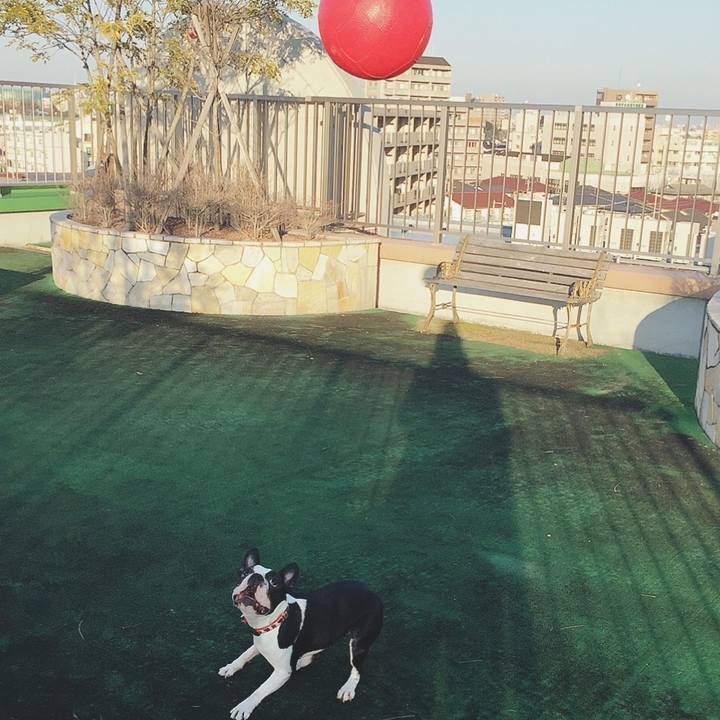 7bdef302 310d 4f84 8783 208f28d56667