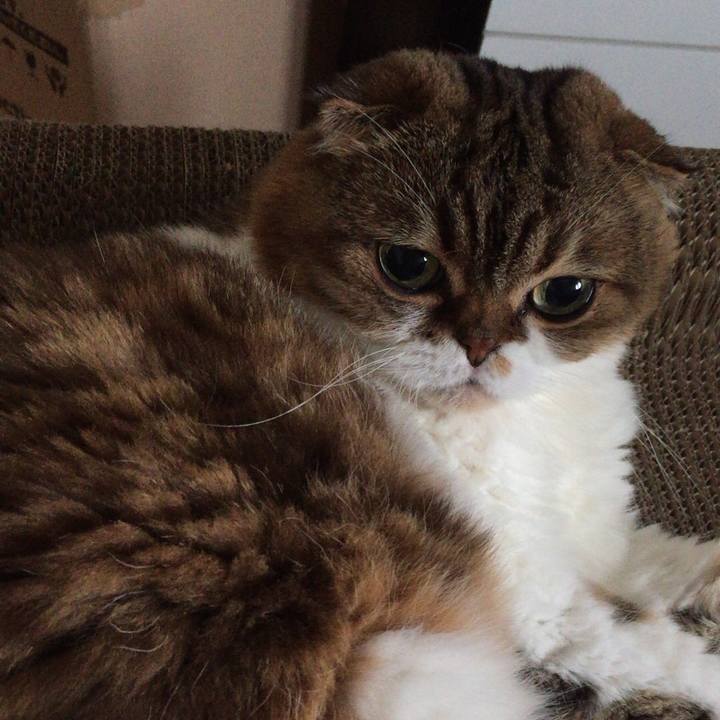 7bdf1a43 7008 48ad 94ff 69a1e89f0656