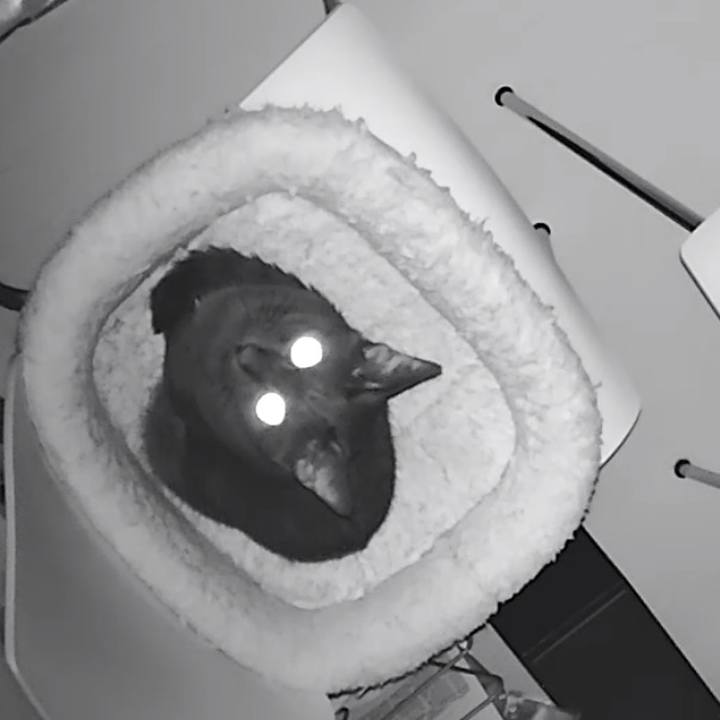 7bdfb729 5035 4ed0 a128 bb9649ff26fc