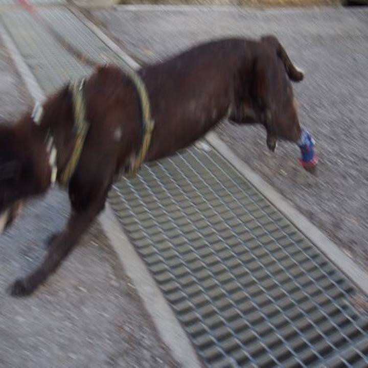 7be0f5cb 3138 471e 80dc 3d864d255e62