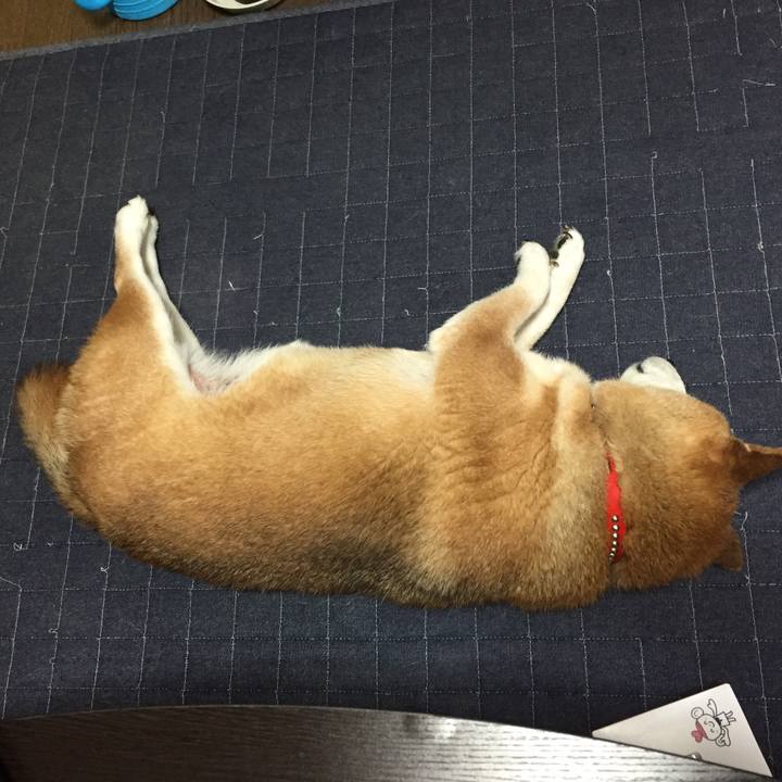 7be11f4f fc55 4268 acc5 d2b1fb311253