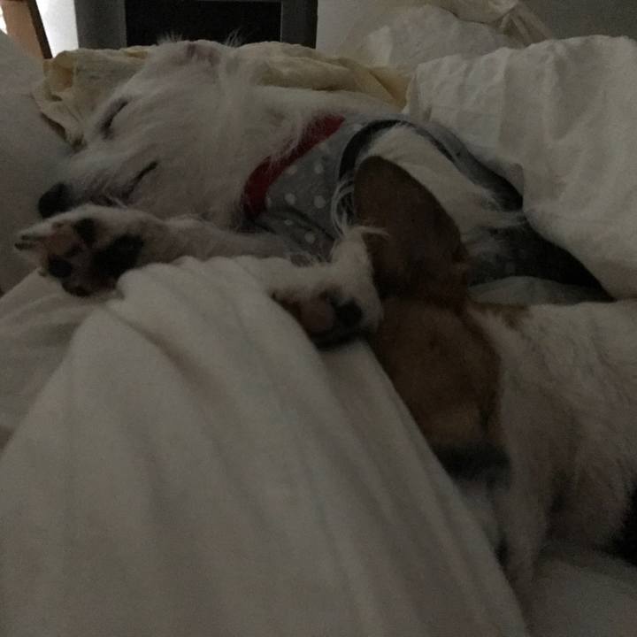 7be1dce4 4cb0 4b48 aeba d8af9986dcaa