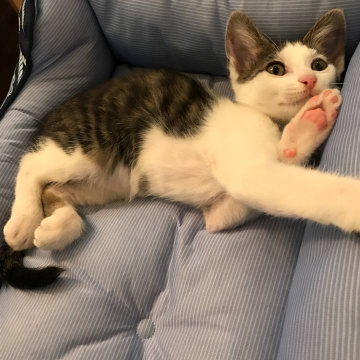 7be1f99c f8a0 4cf7 bfcc 5f3e4a7f73c6