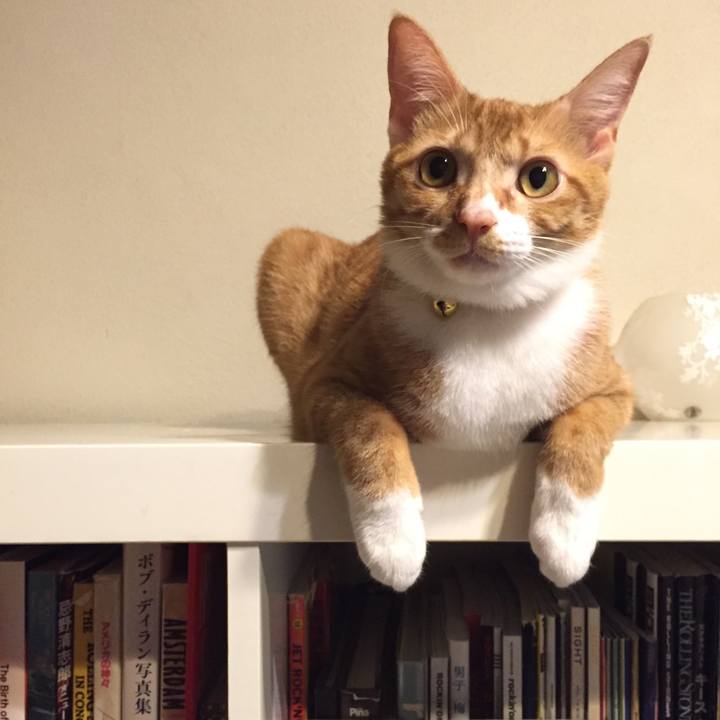 7be21fda c45f 40b4 85d8 81622187bb63