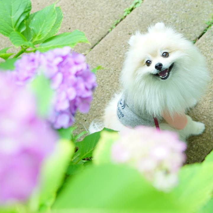 7be28441 ab92 4524 97a8 e208ea4b4312