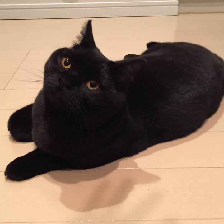 7be29a0f b6ce 4718 8dc1 85cec923d861