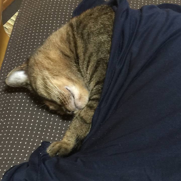 7be2bcab 9642 4a4d a0c1 f44c25d8f13b