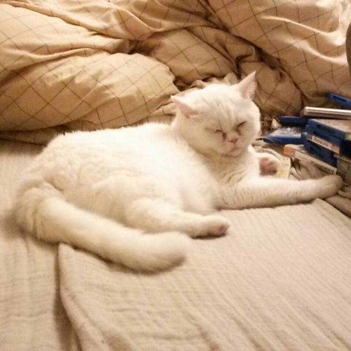 7be2c05b b77f 494e 8de3 2c32d7a0500b