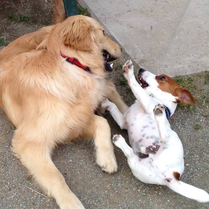 7be319e7 2e9a 41e4 a3cf f6a4e26faad5