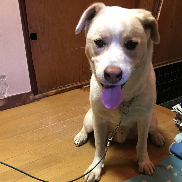 7be352c1 2061 41ad be45 0467a4aecf1b