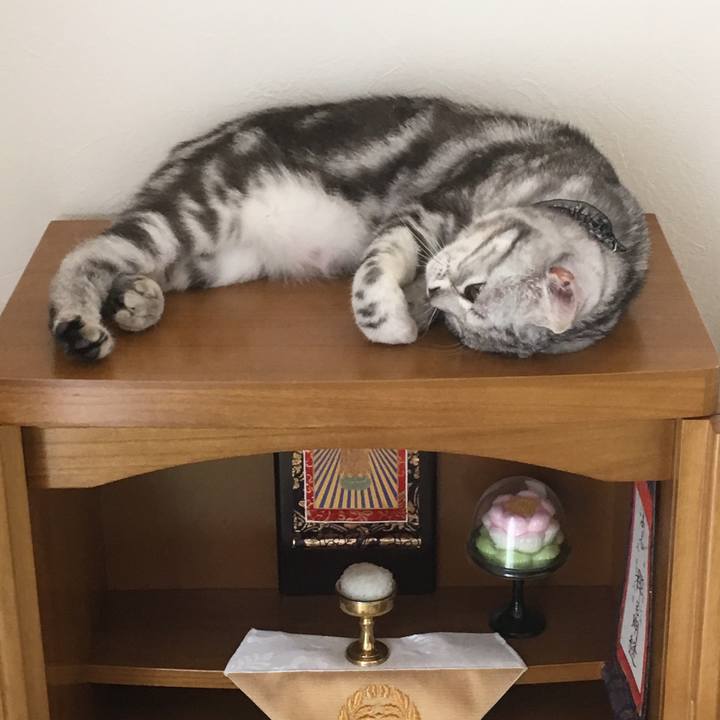 7be37986 93dd 44b9 a216 3e00f8ab01e8