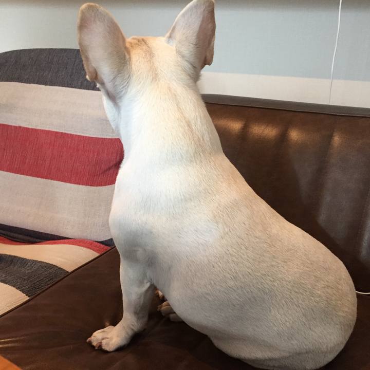 7be51e4a 25cf 4ebc bf84 1a3586aa75e6