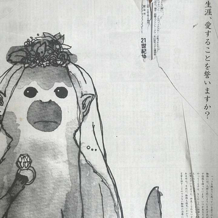 7be521f6 903b 49e2 924f f829b412288f