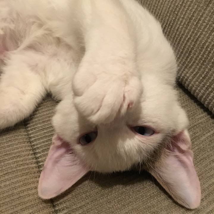 7be55dc4 f62f 4d04 80b6 fcf9a7044481